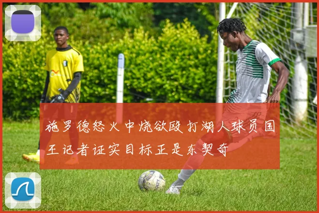 施罗德怒火中烧欲殴打湖人球员国王记者证实目标正是东契奇